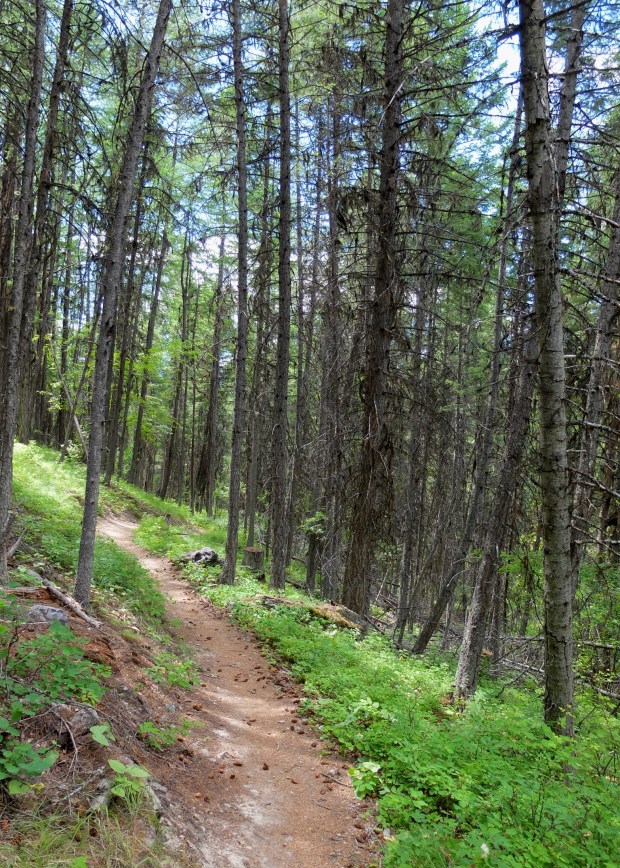 3EA01C1F-2CE2-4873-9DB7-50AA2BD80741