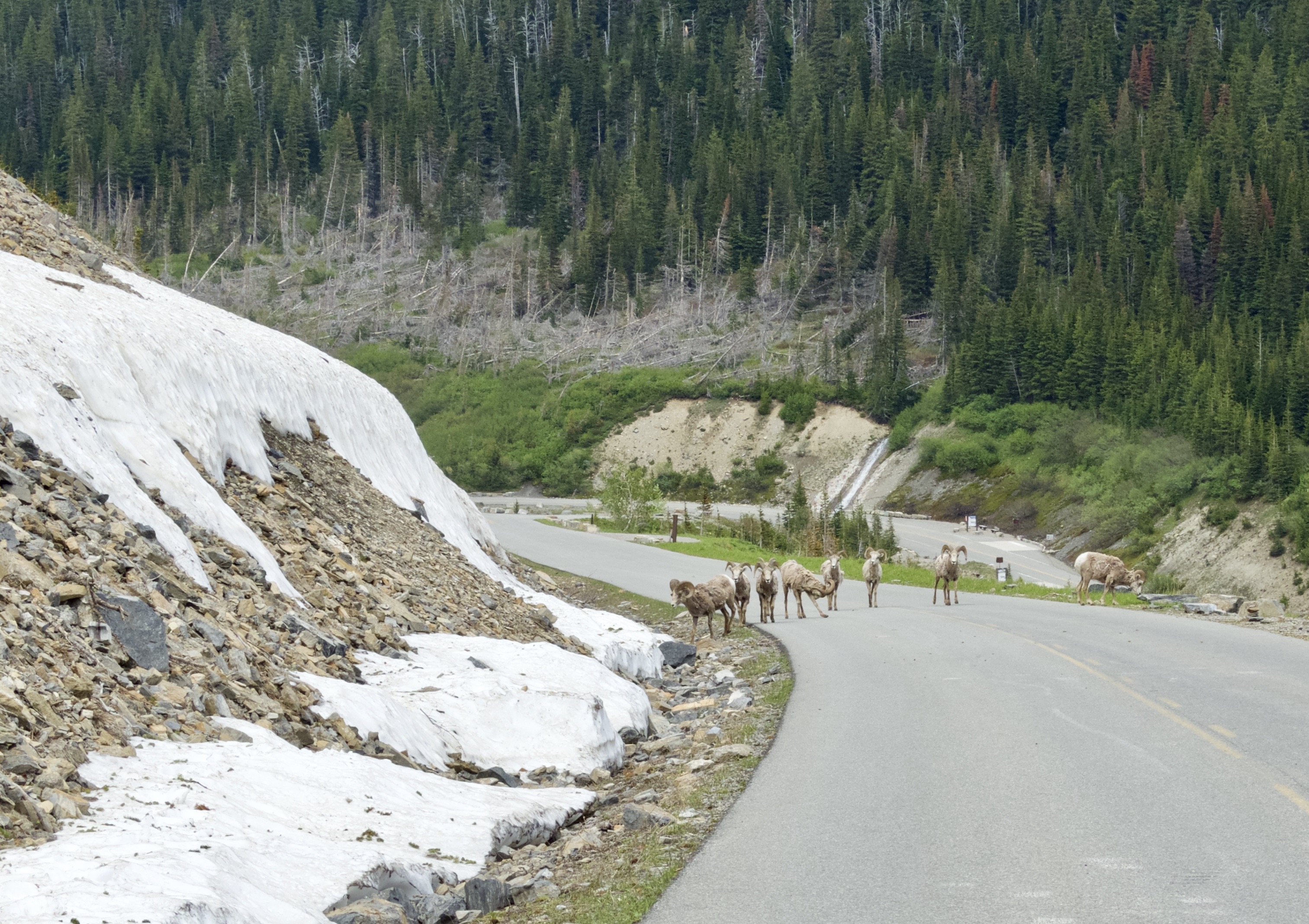 7413470B-519C-462A-84D3-A6E6D9EC3F32