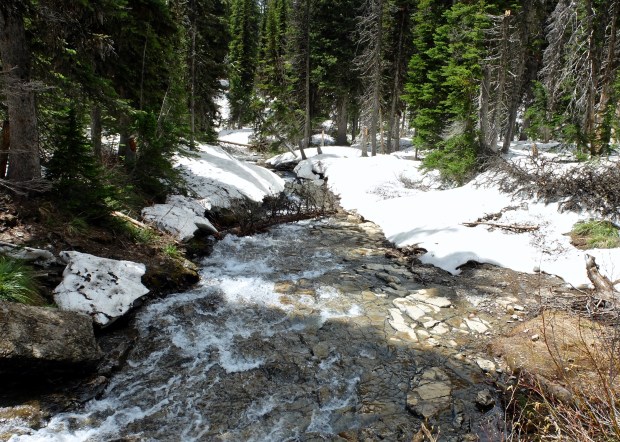 98801854-CEED-4105-8A07-E9A6C944B5AB