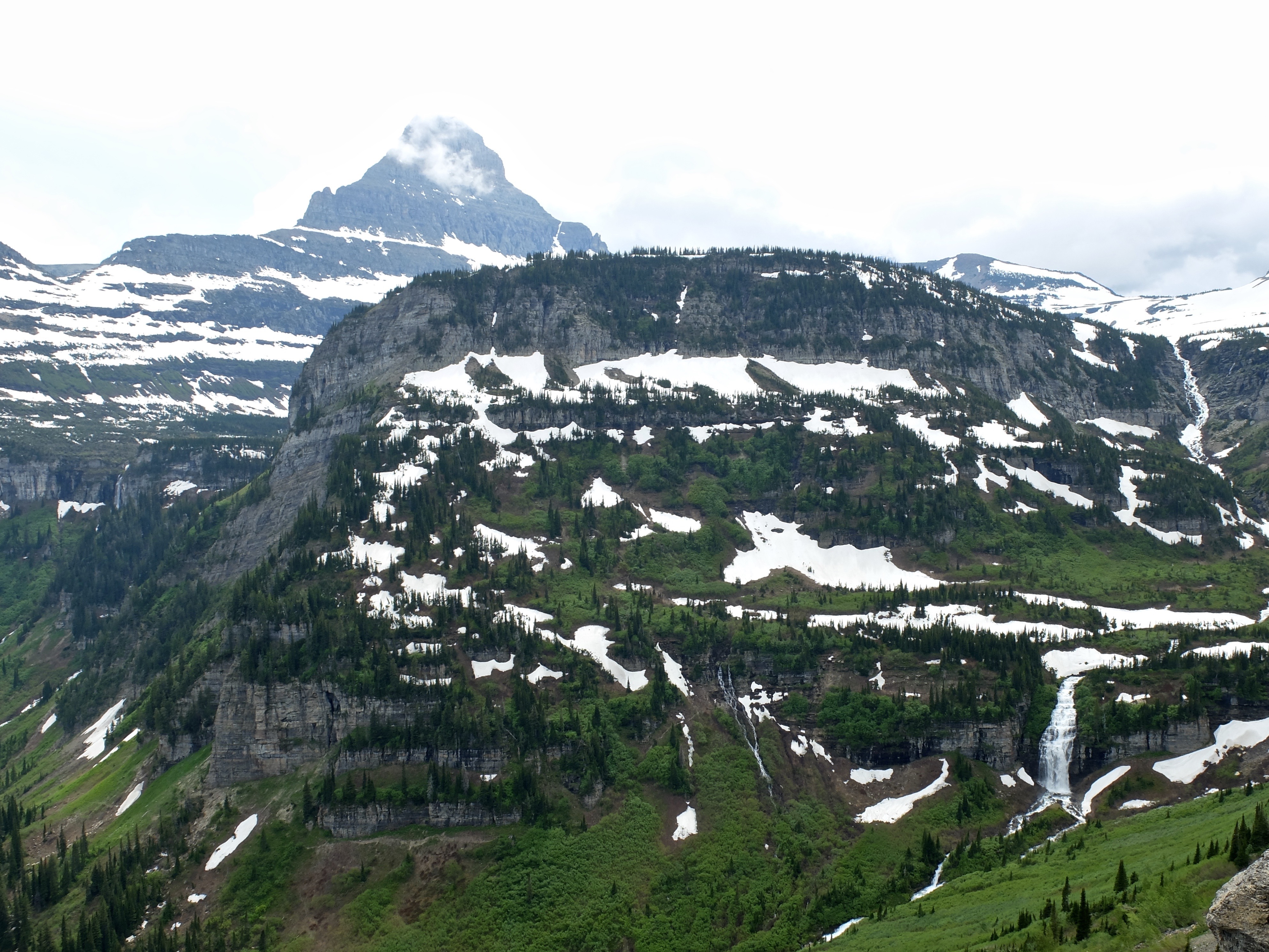 99C0631B-D468-4B23-BBC5-9DC6871BF6A0