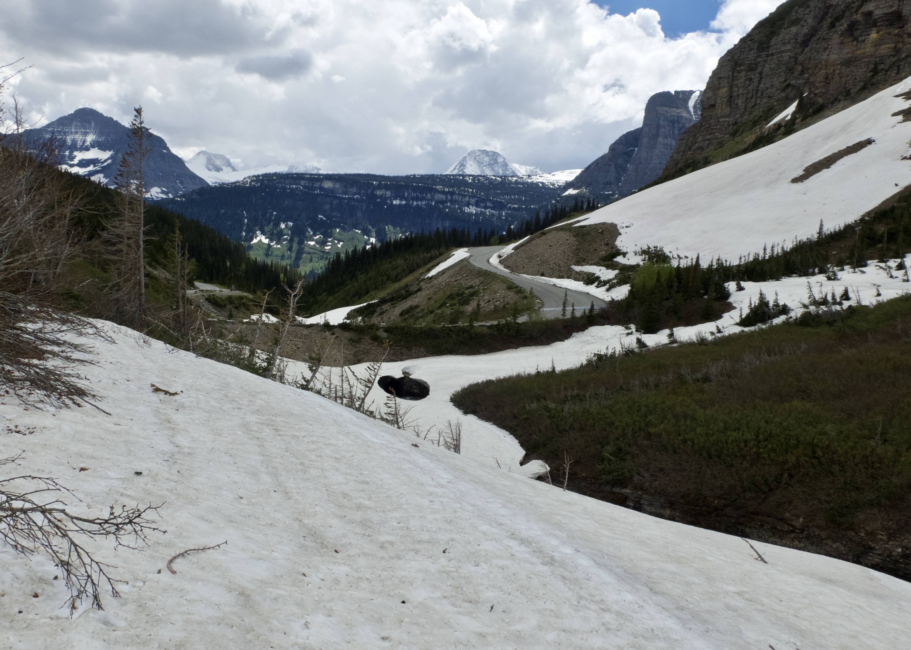 AEBE73F5-FD65-4A5D-B2C5-F5A907254A53