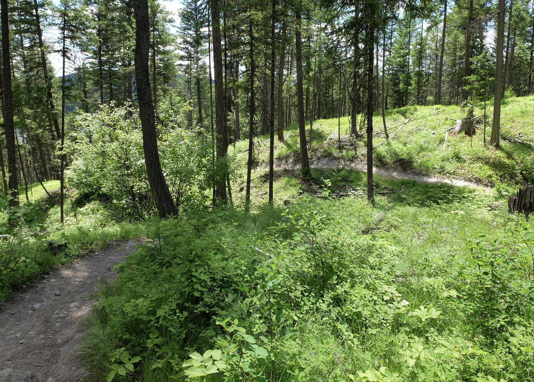 B72DD6F8-8A97-4DAB-B5E5-EE8C4CBB19E2