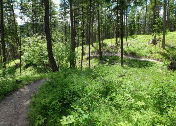 B72DD6F8-8A97-4DAB-B5E5-EE8C4CBB19E2