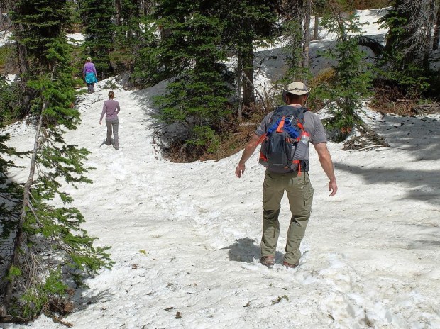 D48C628F-3854-4412-9B25-E44998734DDC