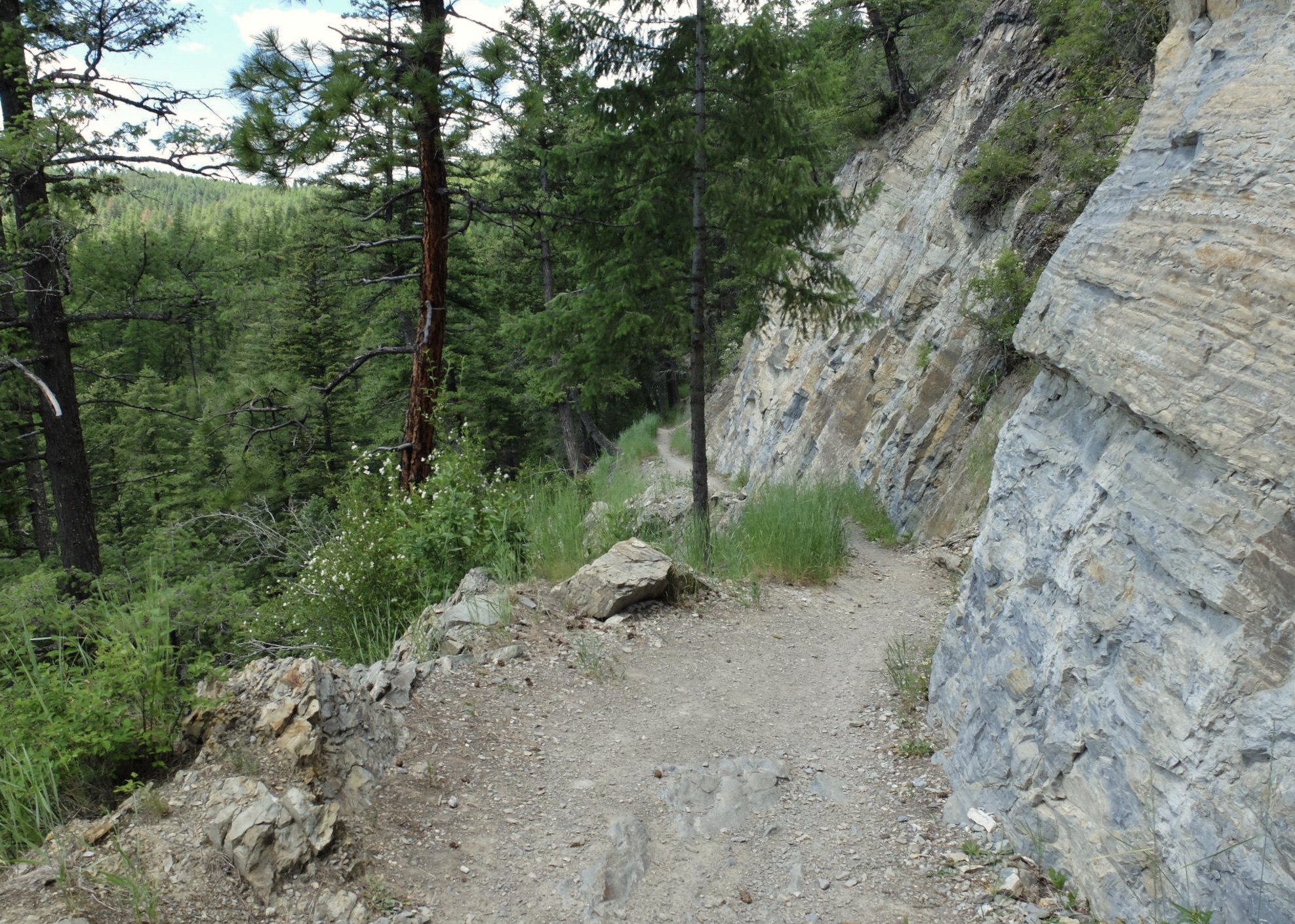 ED4A0CED-FE5A-4146-B445-9CEC9C7B1FE0