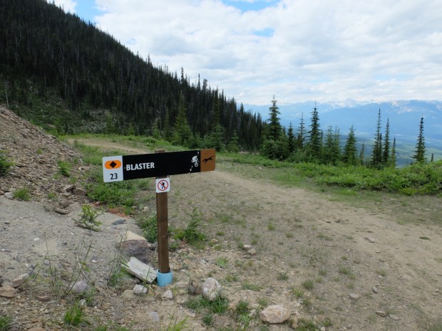 0338E363-A8D4-4505-BB29-ED8AB60290E1