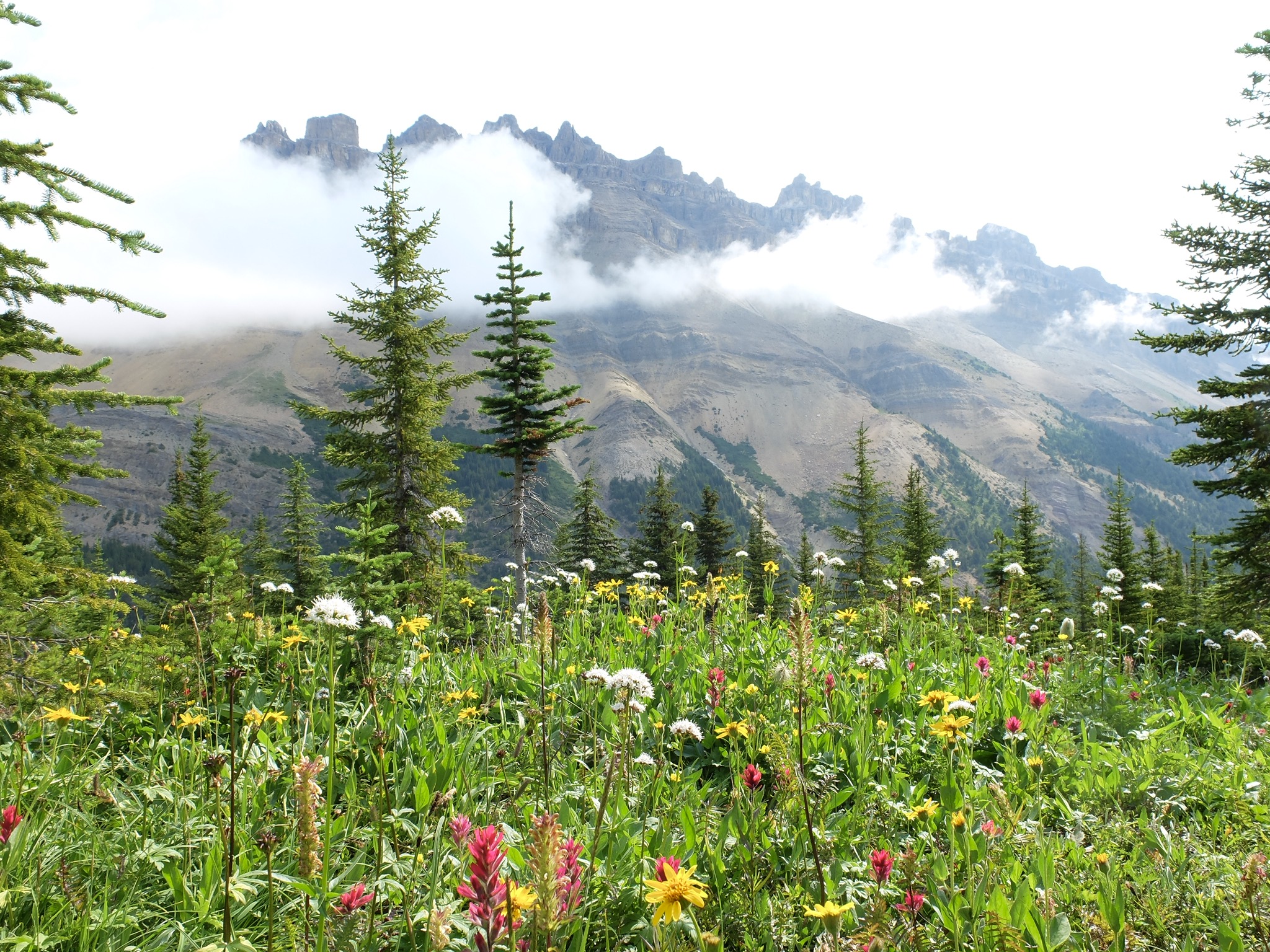 06432EAC-F595-48FD-934E-EDC57D318B9D