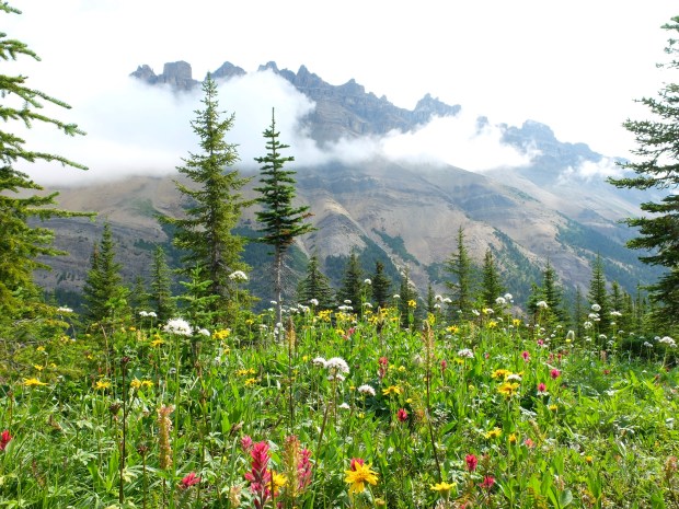 06432EAC-F595-48FD-934E-EDC57D318B9D