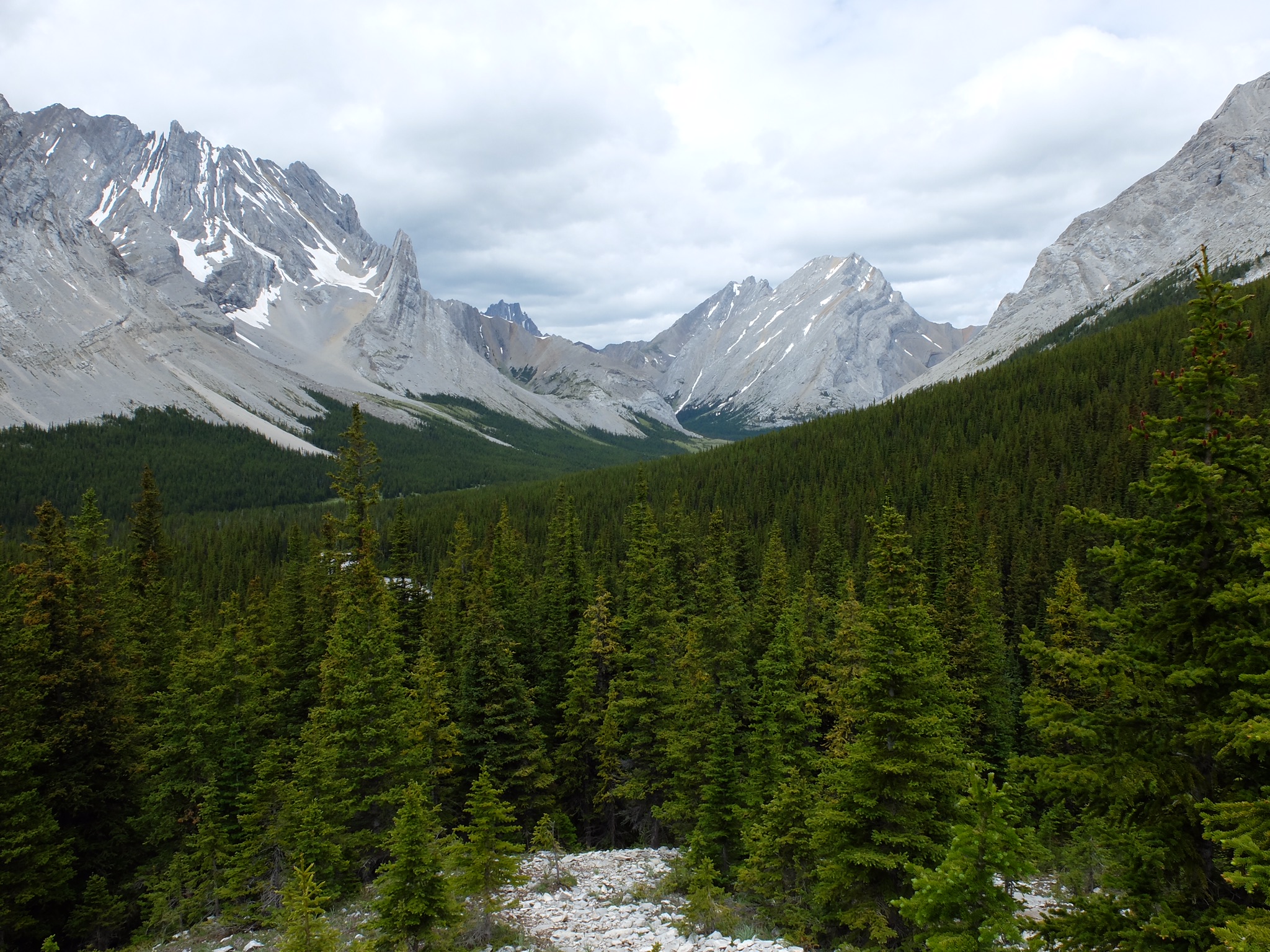 07DF40FC-0C71-4EAD-B89E-EE4ED902B0F8