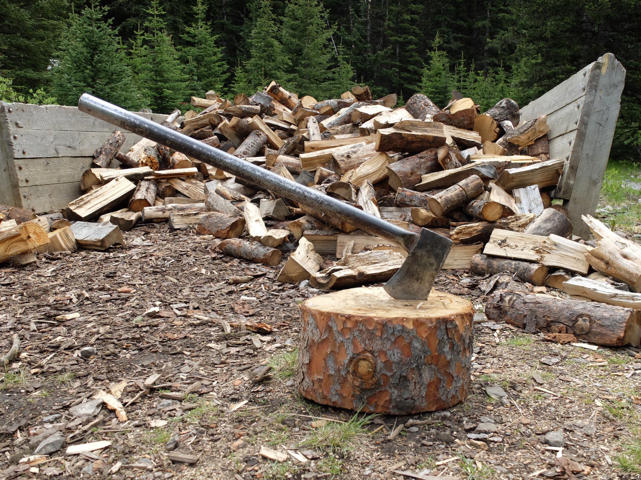 12A5A0E5-B4BC-45B3-BF47-FB75A393D14F