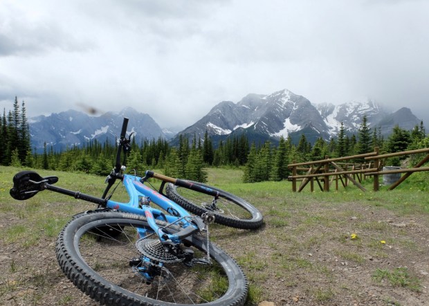 1E37E85C-CF6B-491A-A673-C20B83F7FF85