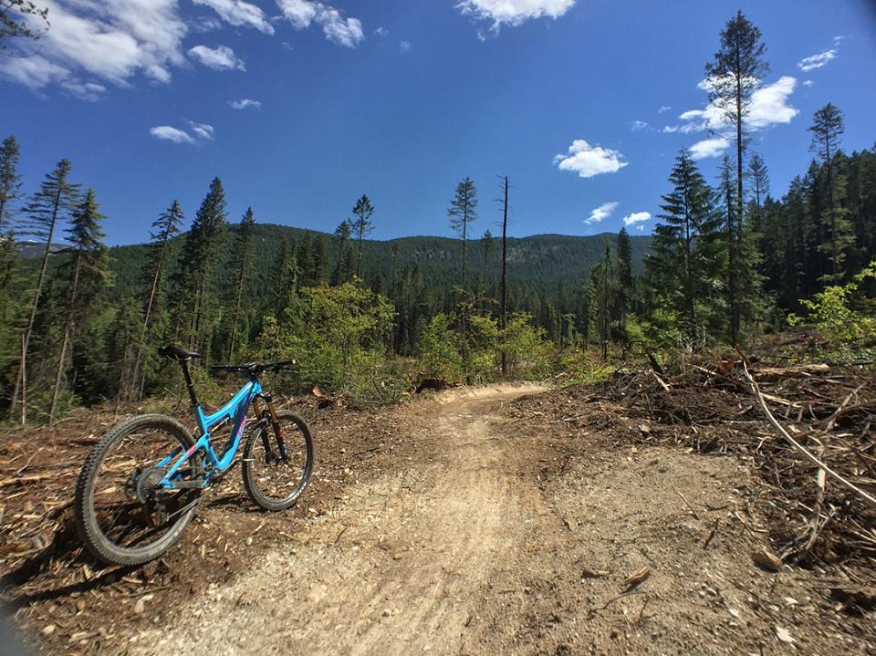 20AF5485-04EE-4EBF-AFC9-7999C536525A