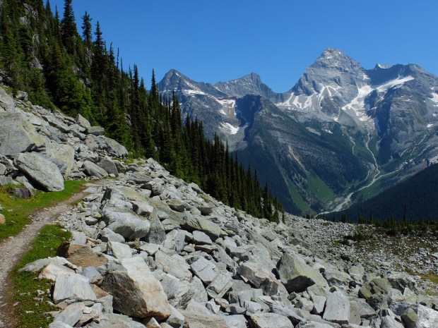 233ACA3C-6405-45BF-A6B9-4BA41CF2A8D9