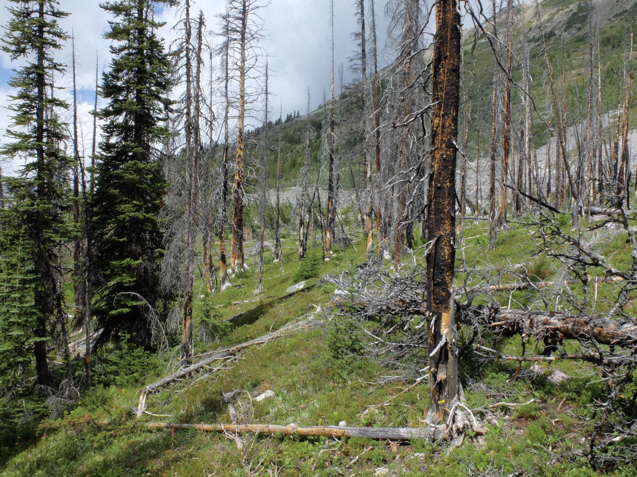 300BCD71-851C-4970-848D-1FF2F1427BCA