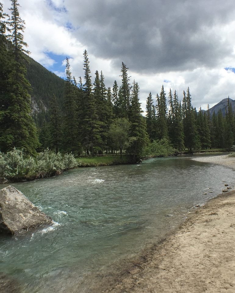 36EB9635-D352-4BBA-BF92-F312C544505E