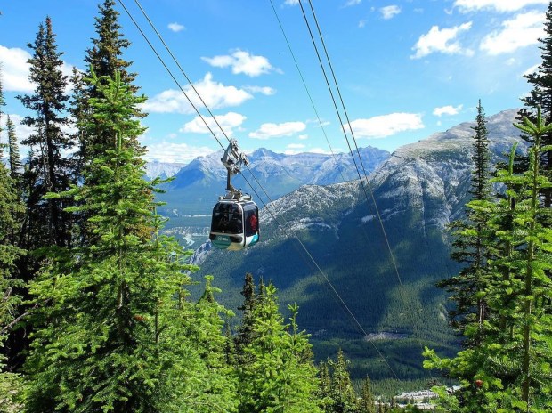 5F5C658A-D4F5-4CE3-BBA0-071B7A053C81