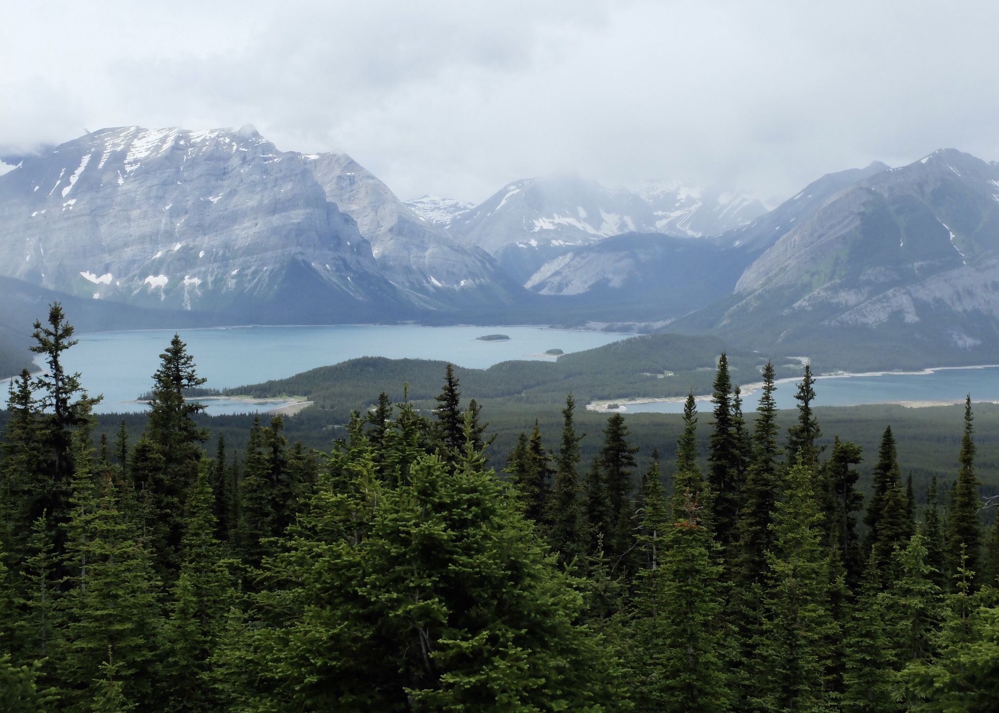 6E59D5F1-BA80-40F8-95B5-78E3B3C288D4