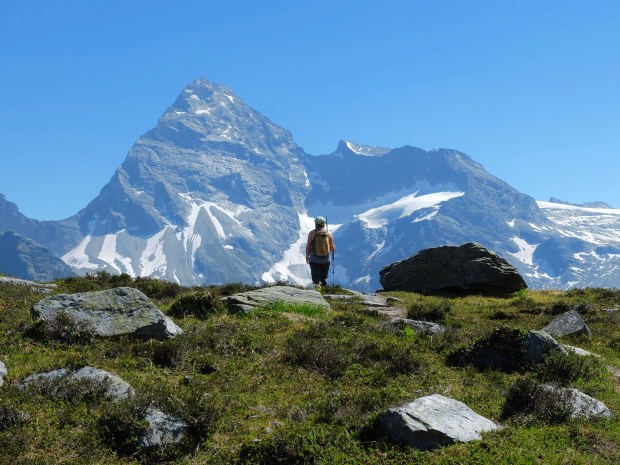 7369BDD2-431A-4335-B985-7C827F47350F