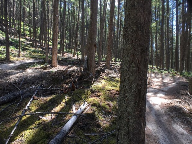 814BF00F-FA77-4B40-A826-AC47FB9FE413