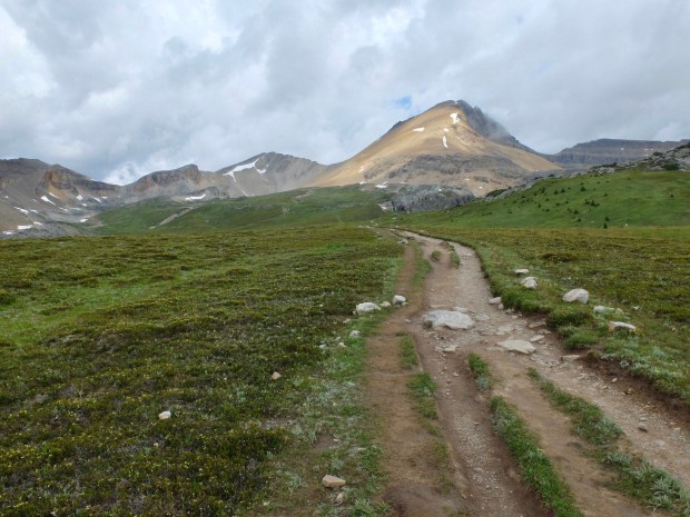 8644F752-95B6-40AE-8F26-60D90B9EF35B