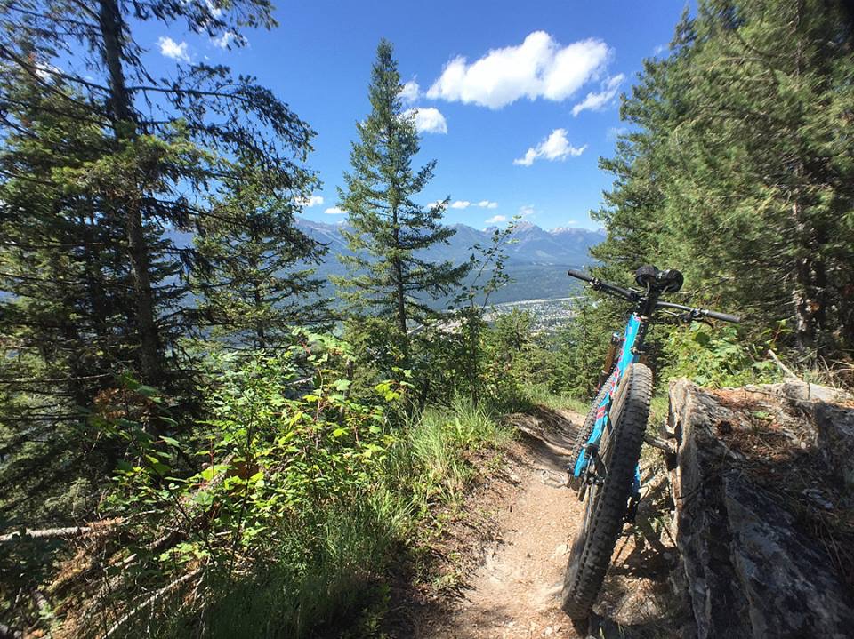 954E9DE4-3D83-4CEA-9722-CAC5D23F467E