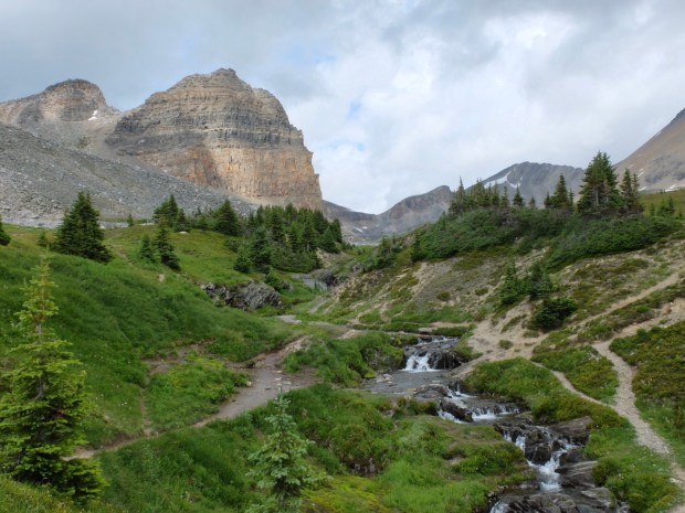 A95C99C8-AB4B-4856-A248-A9B17F9C401D