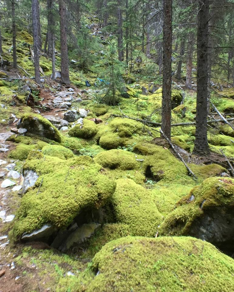 B88D47D8-1694-415D-9BAD-8C85E5450593