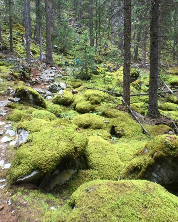 B88D47D8-1694-415D-9BAD-8C85E5450593