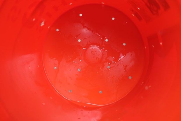 BDFEBE69-293E-478C-9AC8-BE72227B966C