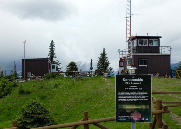 C1715579-A896-4429-BA63-1AC4A478F2E6