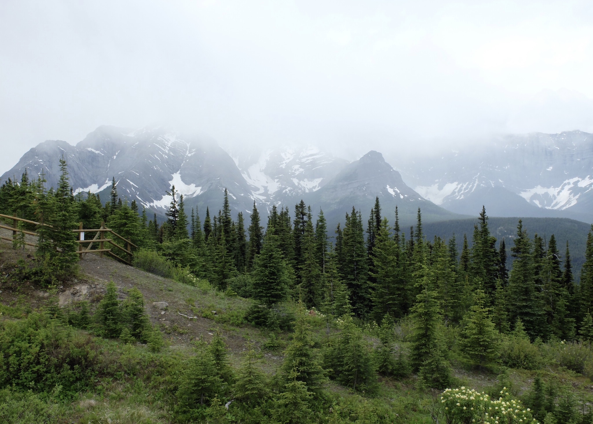 CD8FAAB4-8DC4-4EED-B075-79734BE481D7