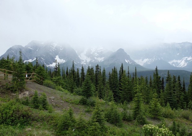 CD8FAAB4-8DC4-4EED-B075-79734BE481D7