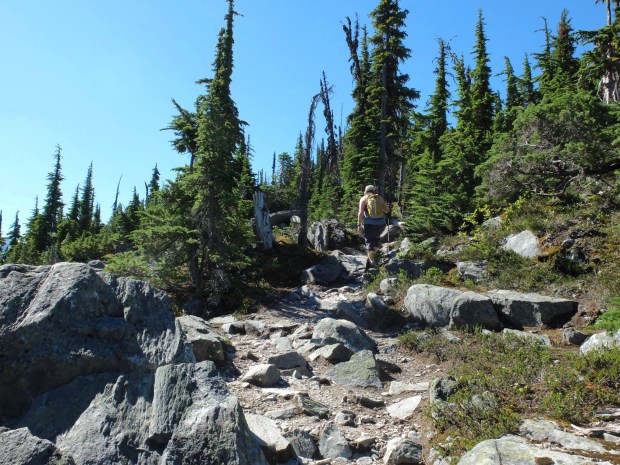 CF401D73-EA51-4485-8044-BBBE84A4F3FA