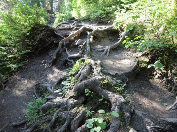 DFA95555-46F6-4CCF-8067-1113EA171E12