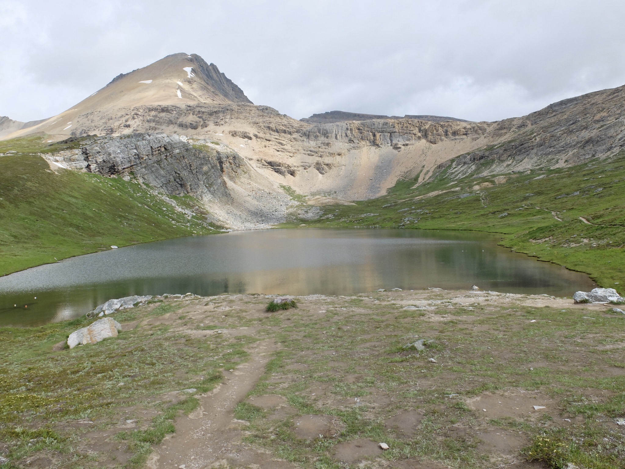 EE063D0D-4C91-4F03-BCA3-642A7F0A59F7