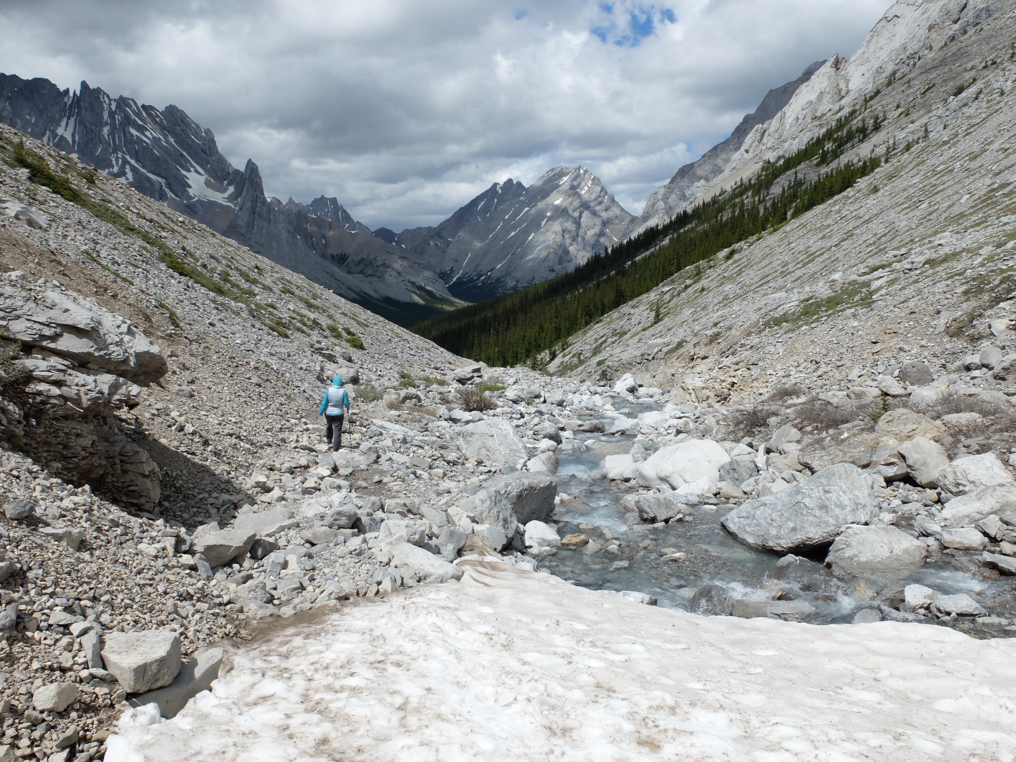 F1A25557-DADD-480A-8B72-752E52881A19