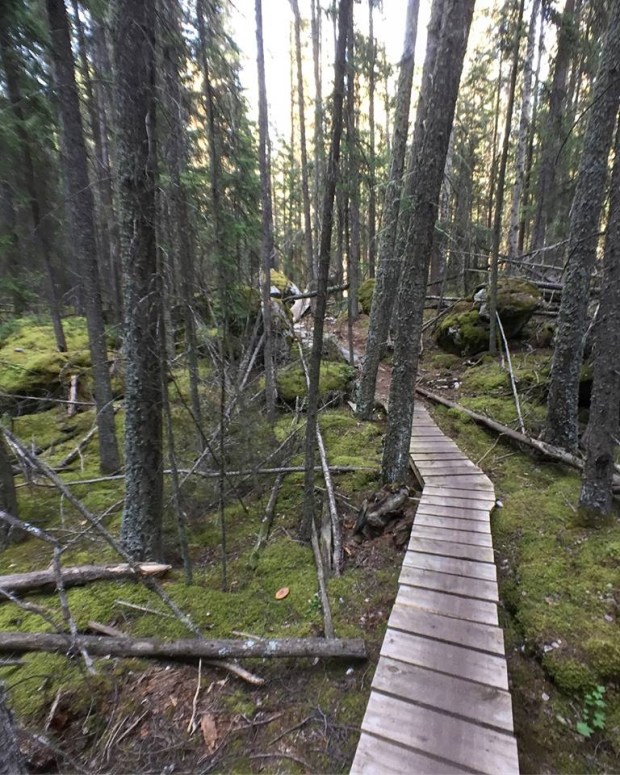 F4AE7790-3071-4CB0-9E34-B603A3CDA344