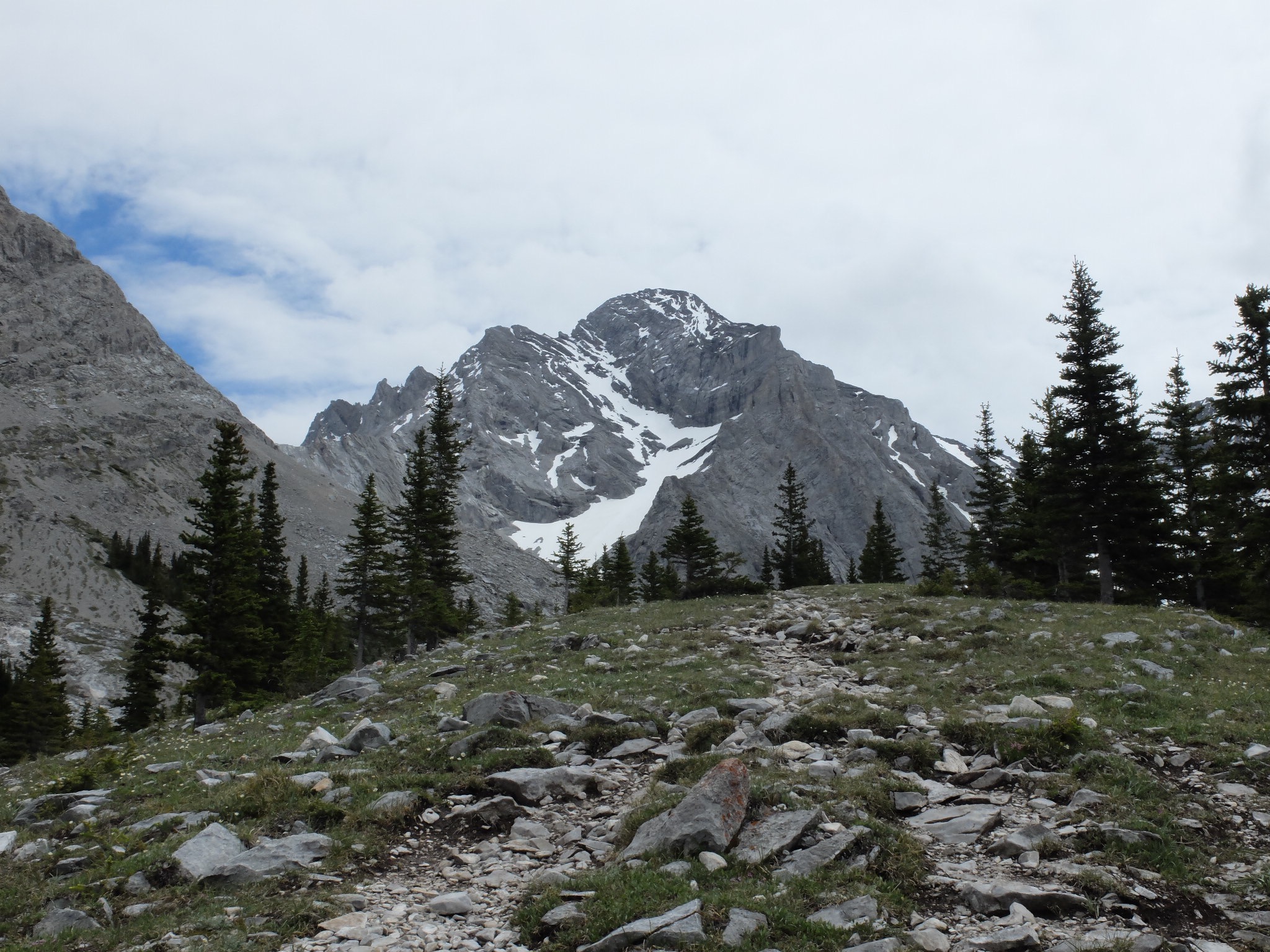 FCAA5C88-80B9-487F-8EAB-CCA65CDECCED