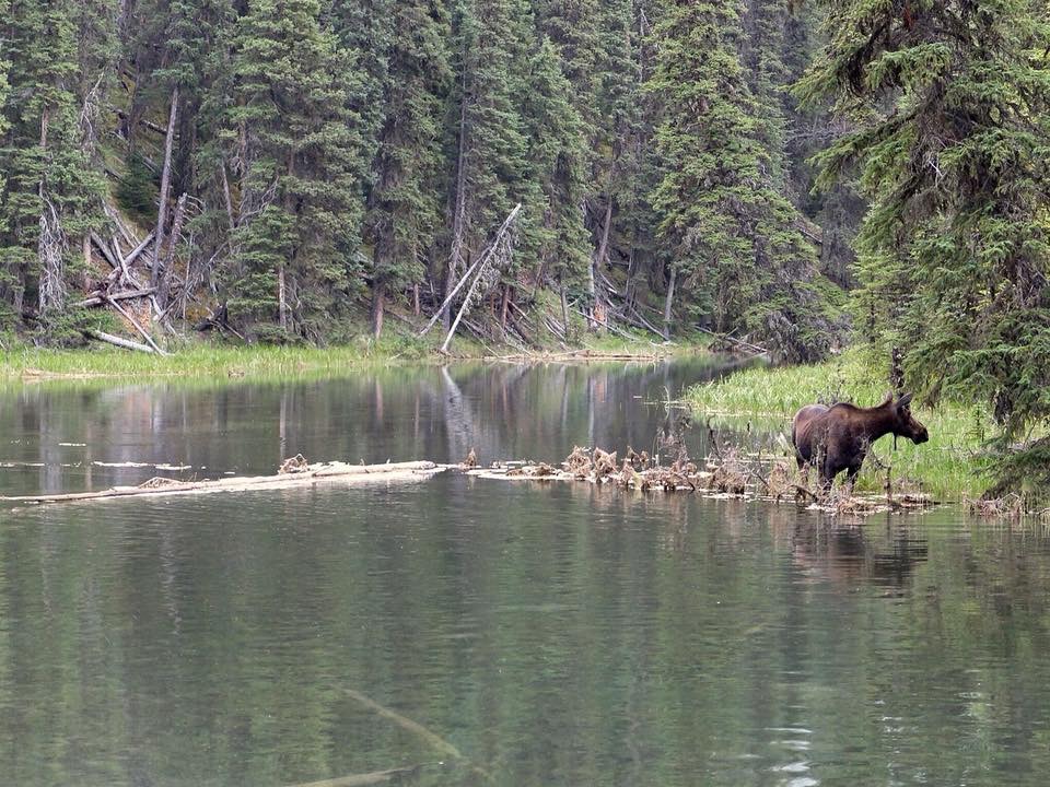 0BAD47AF-5E03-4244-8F85-8A7C84F2A0B3