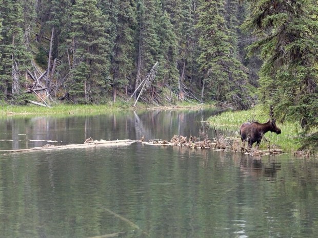 0BAD47AF-5E03-4244-8F85-8A7C84F2A0B3