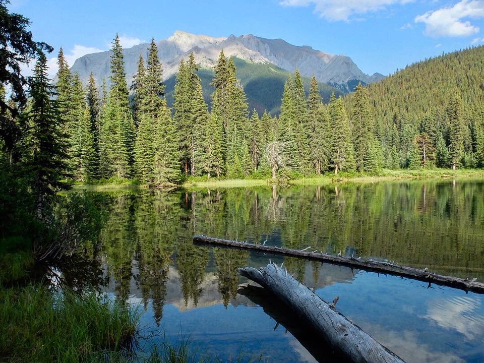 6E73E315-0869-40BA-8A94-84D689996B83