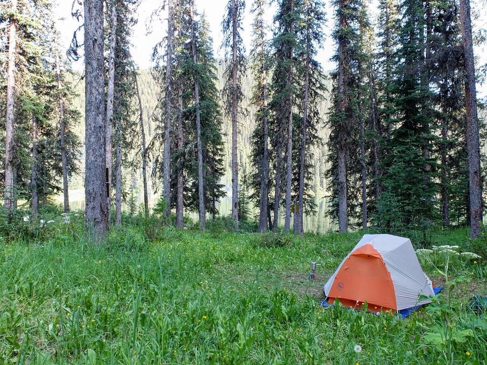 83F274C9-AF08-456A-B103-977EDC4C9A9C