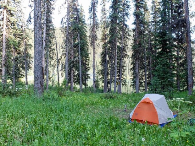 83F274C9-AF08-456A-B103-977EDC4C9A9C