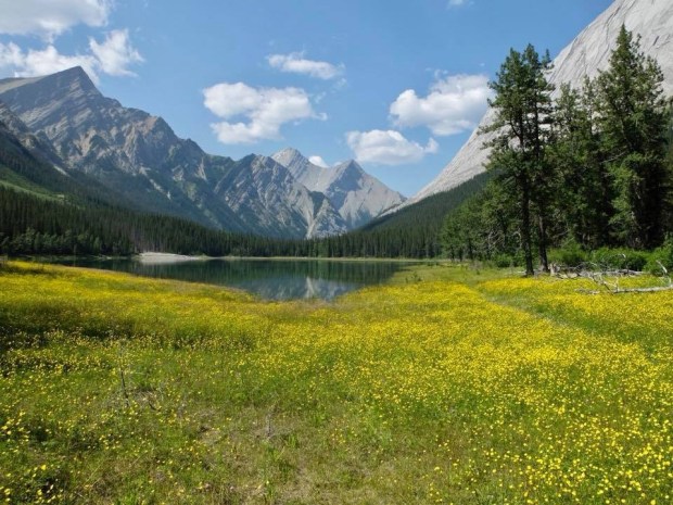 AC657FB4-4C14-4ADD-8D26-228B129DC574