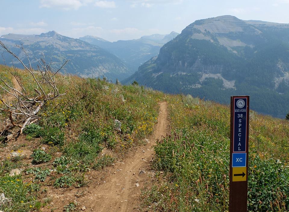 F2CEB9A7-ACCC-40C8-B242-01B676E6B176