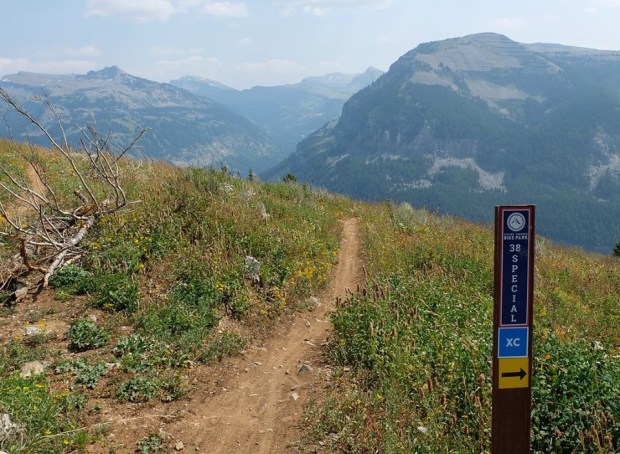 F2CEB9A7-ACCC-40C8-B242-01B676E6B176