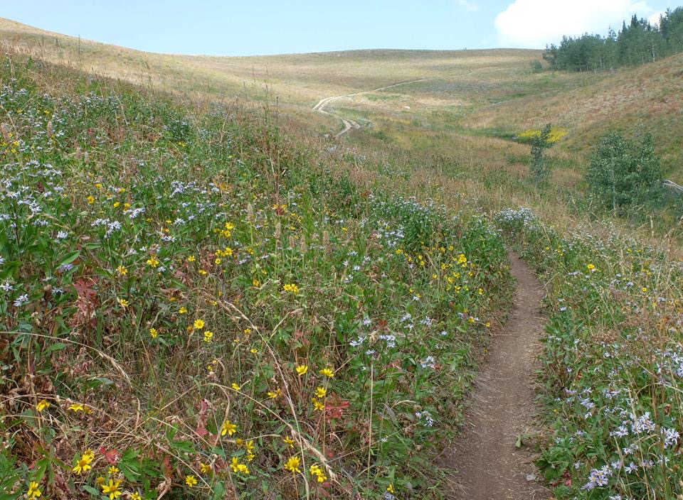 FE3D06CE-6722-4F1F-8EC4-07C489A03755