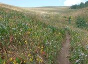 FE3D06CE-6722-4F1F-8EC4-07C489A03755