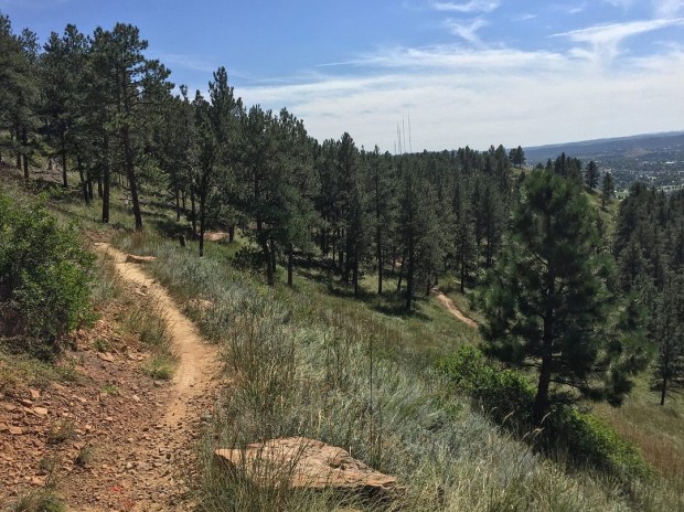 69E066D0-9C4A-46E1-AC44-3EE88D95FF2C