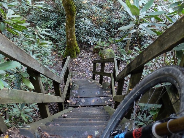 09556318-F098-40EA-BA0A-B439720149F4